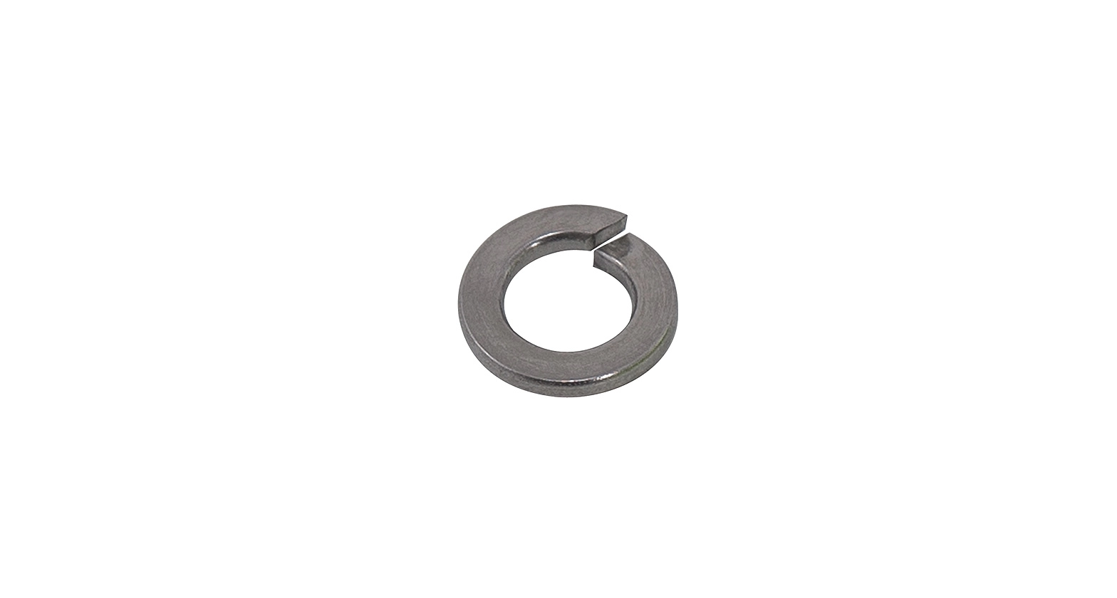 M8 Spring Washer (Stainless Steel) (10 Pack)